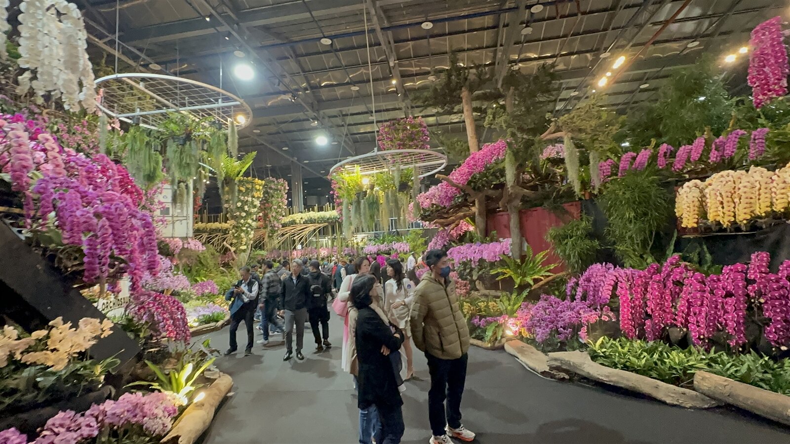 國際蘭展破15萬株各國蘭花爭艷,吸引民眾參觀。記者周宗禎/攝影