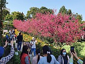 新北三鶯線通車在即　民怨：捷運站沒人行道