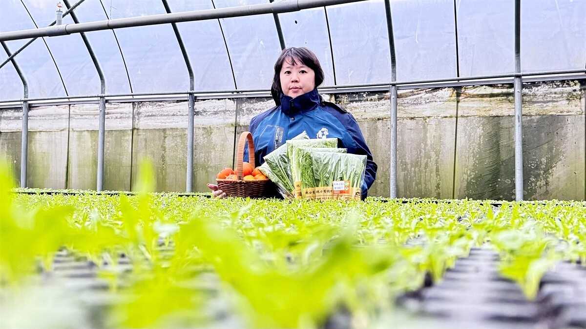 林芷誼將父母的語林有機農場作為食農教育場域。圖/新北市政府提供