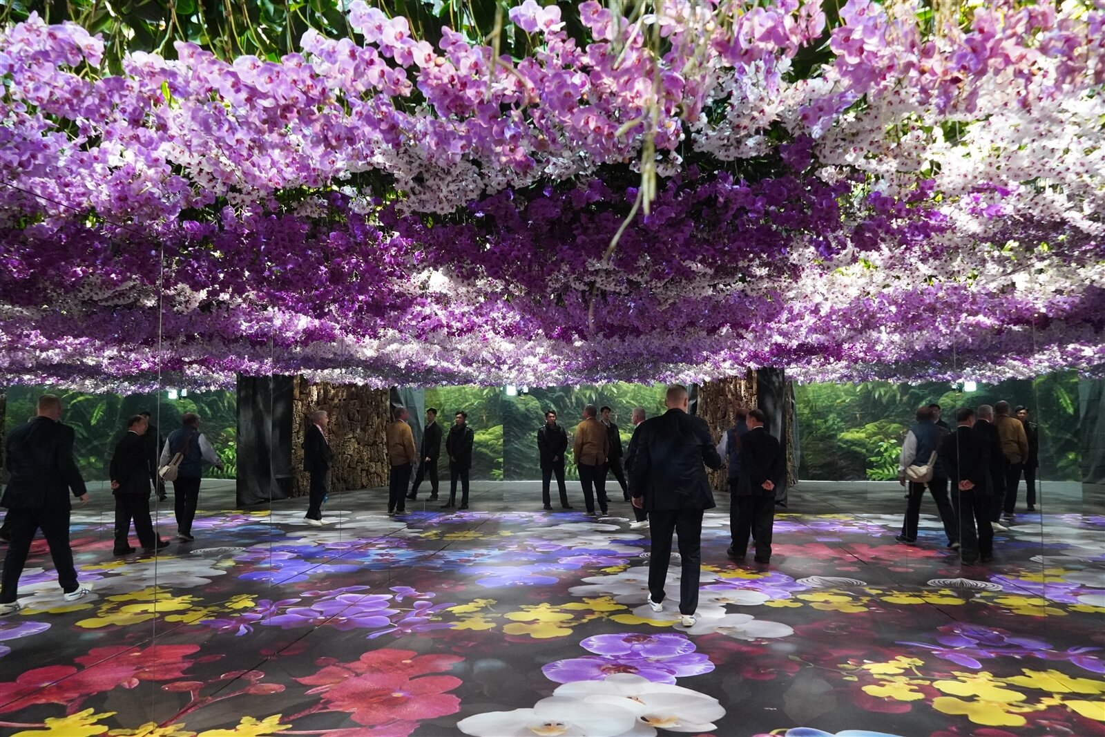 台灣國際蘭展今天開幕,逾15萬株蘭花爭奇鬥艷美不勝收。記者吳淑玲/攝影