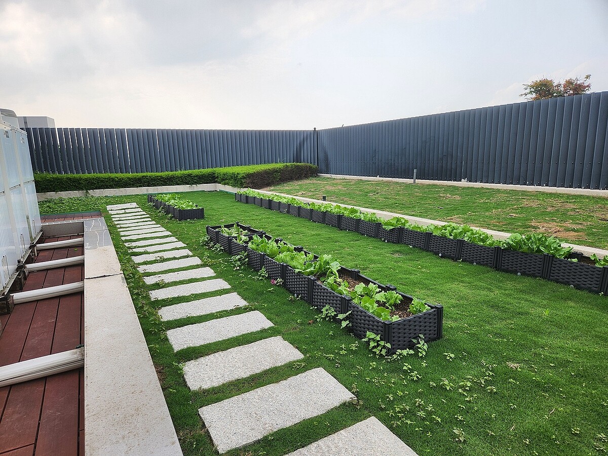 屋頂綠化及屋頂菜圃。圖/台北市建管處提供