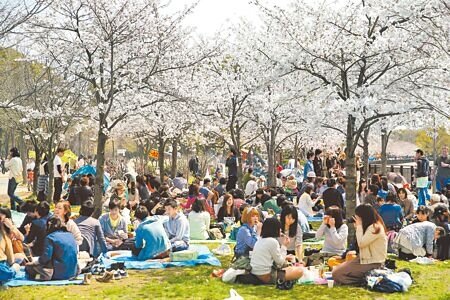 
2024年台灣民眾國外旅遊支出首度突破兆元，創歷史新高。圖為國人最愛的旅遊地日本，每逢櫻花季便湧入無數人潮賞櫻。（本報資料照片）
