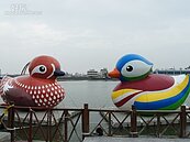 只羨鴛鴦不羨仙　幸福故事南寮見