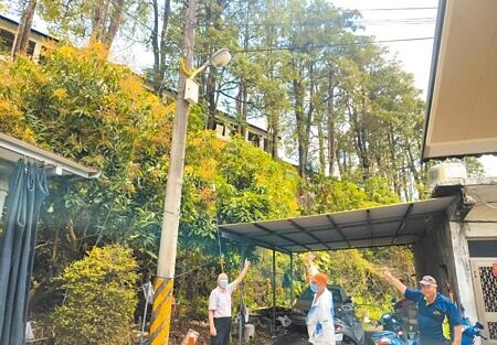 
高美醫專停辦後荒廢，校園擋土牆出現裂縫，10層樓高黑板樹無人管理，隨時可能倒塌，讓附近居民每日提心吊膽。（林雅惠攝）
