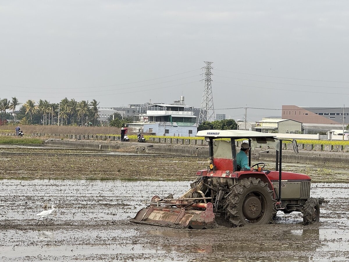 監察院審計部持續要求清查不符農保資格的農民,今年鎖定被保險人將加保土地出租他人領取天災救助及出租農地給光電業者清查,雲林縣政府本月初收到農業部行文應清查名單,人數逾5千人,若農民無法提出具體耕作實證,將面臨強制退保。記者陳雅玲/攝影
