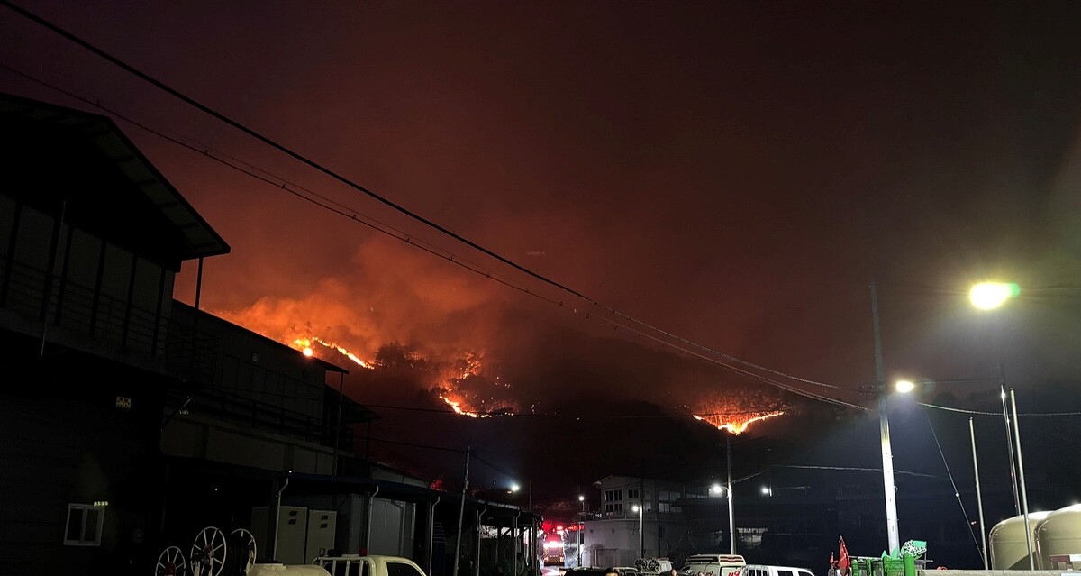 南韓山清郡321山林火災現場。圖/維基百科