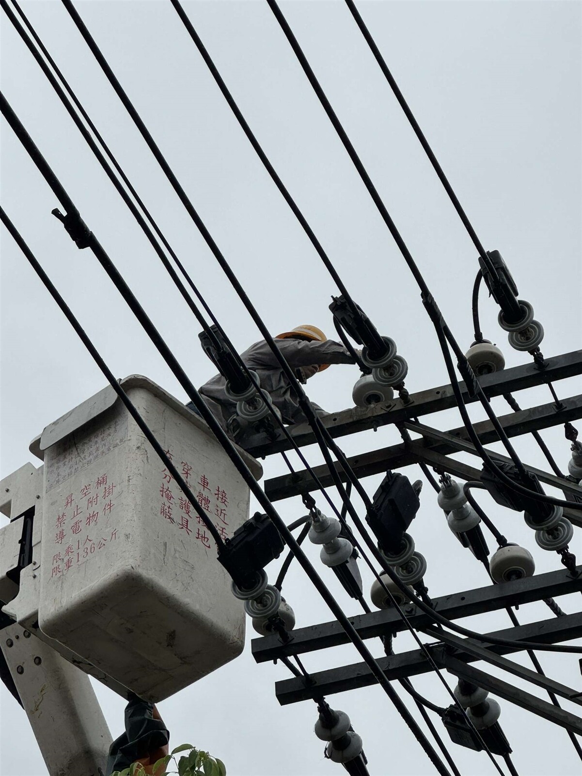 經台電桃園區處緊急派員搶修,已於11時30分全數復電。圖:桃園區處提供