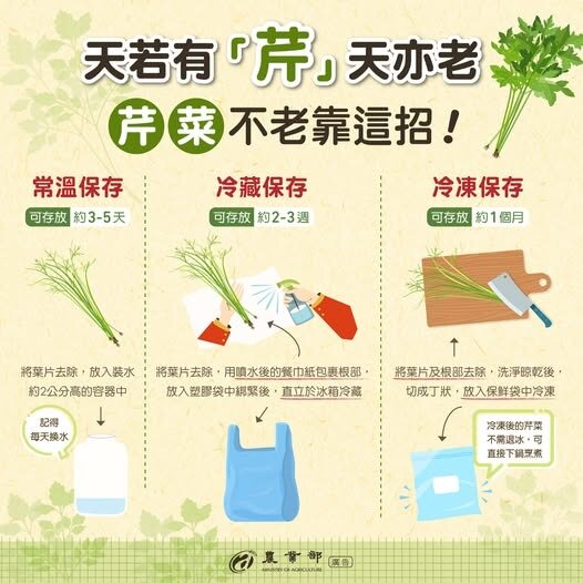 農業部提醒民眾掌握正確的保存方式,以延長芹菜的鮮脆口感。圖:翻攝自農業部