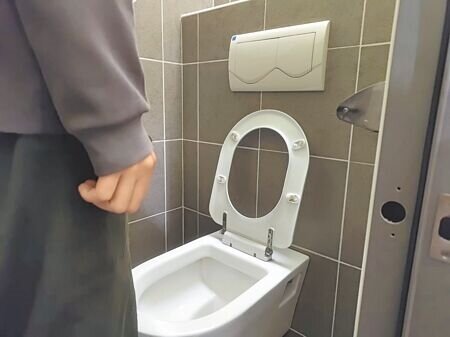 攝護腺會隨著年紀增長慢慢變大,產生排尿變慢、變細、尿不乾淨、頻尿、夜尿、尿失禁等症狀。(王家瑜攝)