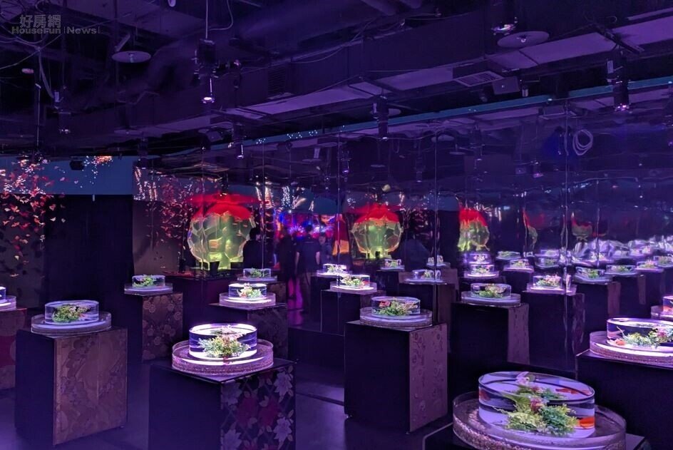 不用遠赴日本！金魚美學藝術展台北登場！ | 好房網雜誌| 好房網