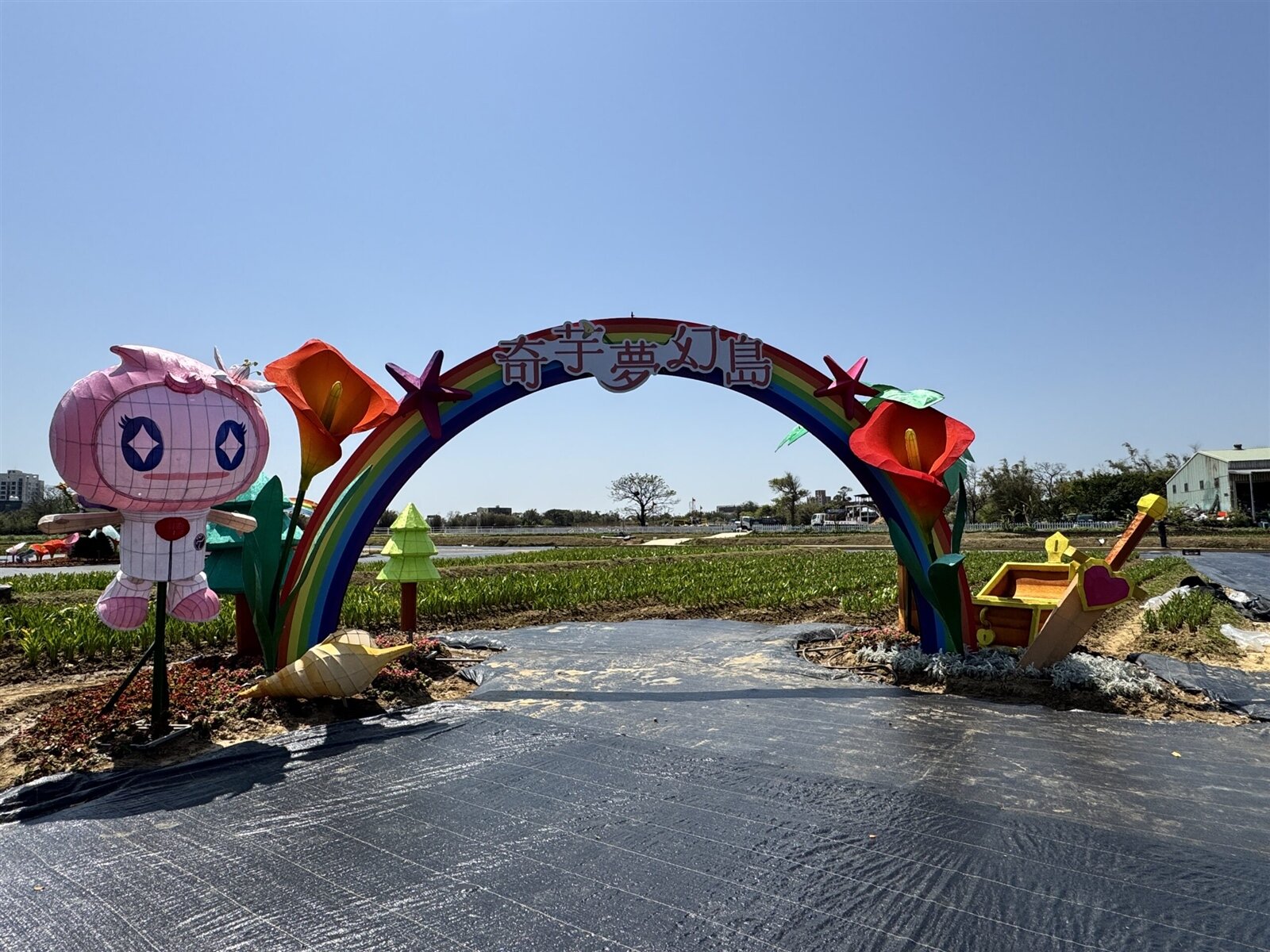 桃園彩色海芋季。圖:觀旅局提供