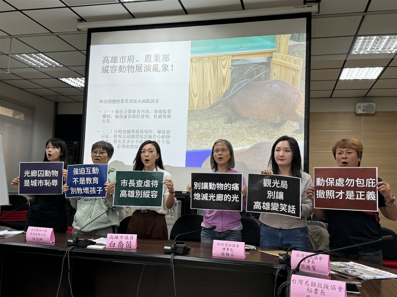 多個動保團體今與市議員白喬茵(中)共同召開記者會,控訴中央公園餐廳業者以展演活動不人道對待動物。記者郭韋綺/攝影