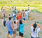 國慶鳥報到　墾丁紛推賞鷹活動