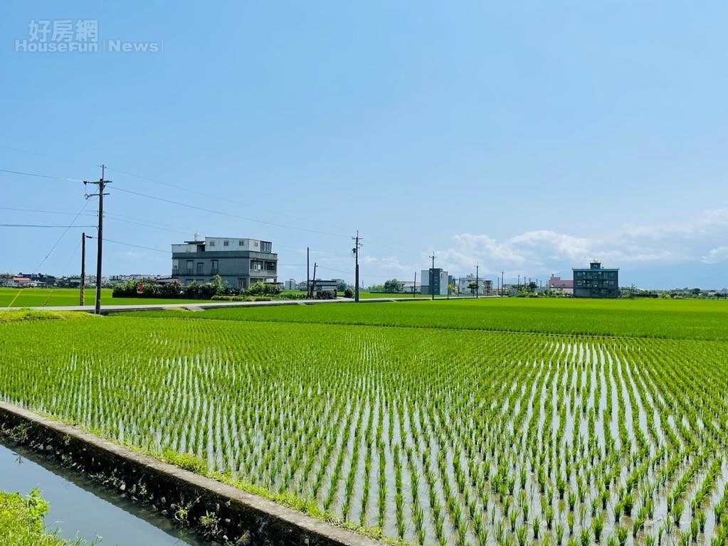 被法拍的農地，在拍定當時若為農業使用，應於通知期限內，向稅務局申請不課徵土地增值稅。示意圖／好房網News記者呂詠柔攝
