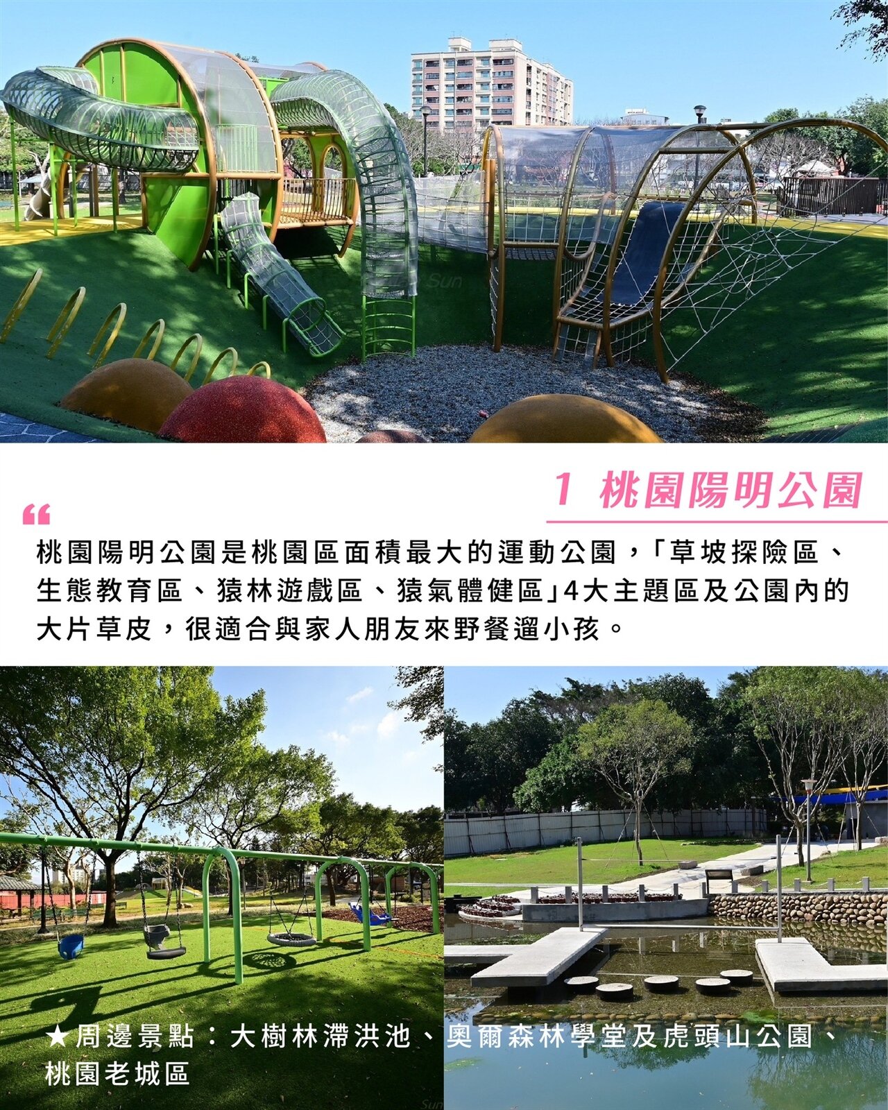 桃園陽明公園是桃園區面積最大、自然生態最豐富的公園之一。圖：翻攝自樂遊桃園
