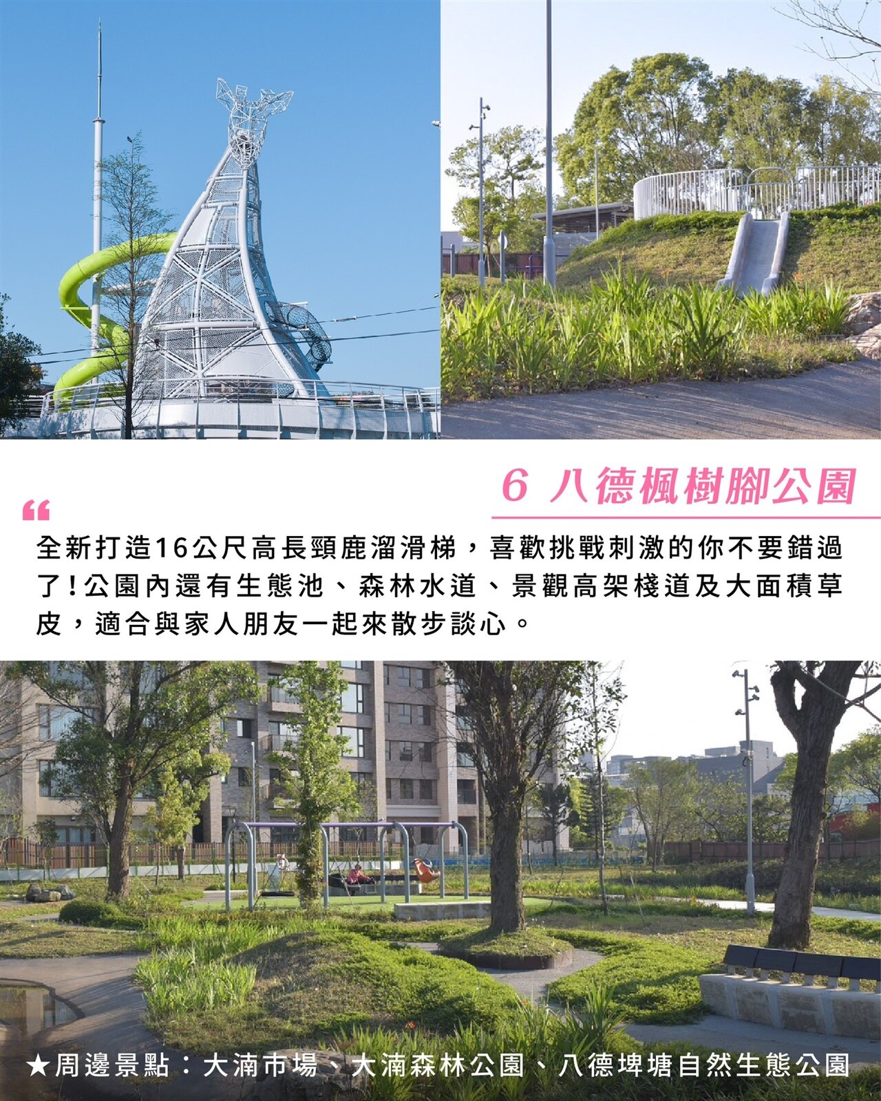 近日全新落成的八德楓樹腳公園。圖：翻攝自樂遊桃園