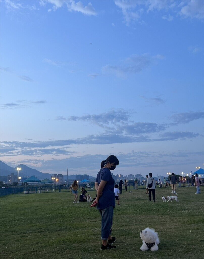 寵物公園示意圖