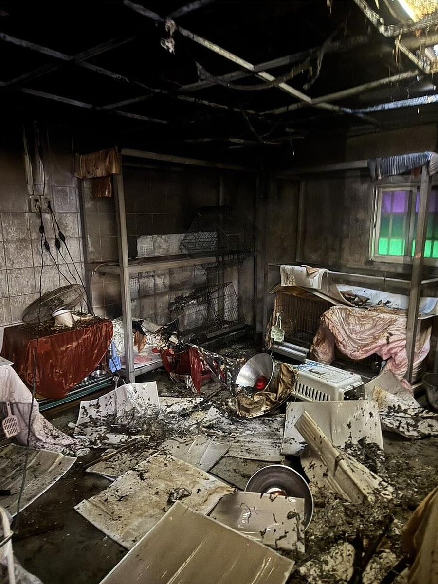 新店動物之家上月30日發生火警,造成1貓嗆傷送醫不治。(摘自戴瑋姍臉書)