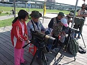 華江雁鴨公園周日免費導覽