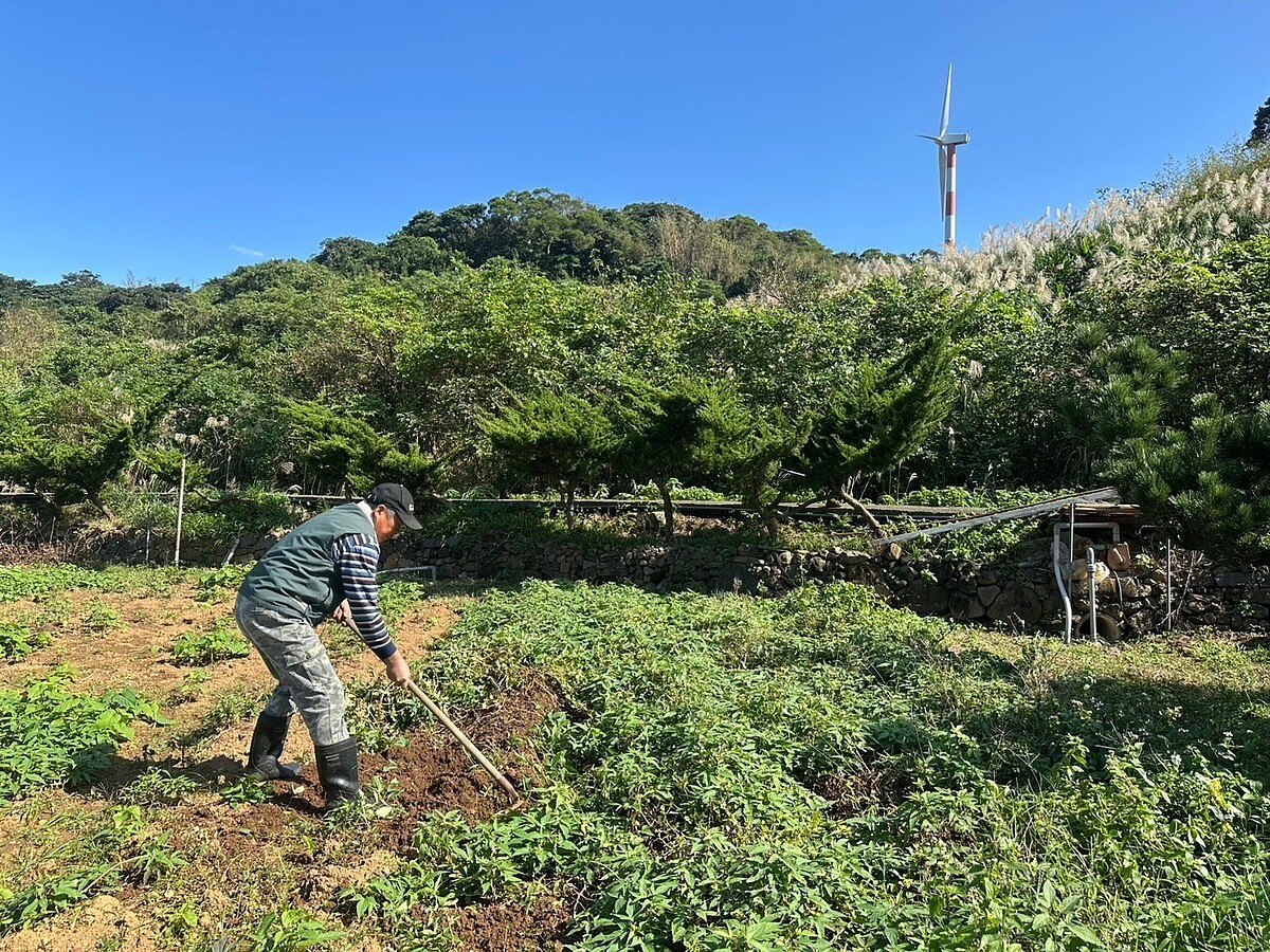 利鑫有機農場被4隻石門風電聲響層層環繞，高福生表示，東北季風一強，轉速就提高，這裡也留不住工人，感嘆誰願意在風機之下活受罪?  記者游昌樺／攝影 