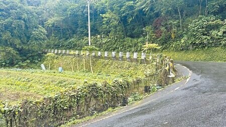 
新北市幅員遼闊，尤其石碇、坪林、烏來等地區，山區道路隨處可見，民眾擔憂雙北Youbike2.0E限速20公里，爬坡不夠力。（賀培晏攝）
