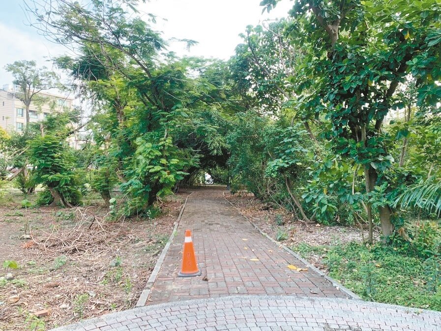 高雄左營的原生植物園使用近30年,園內多處植物傾倒,荒蕪無人打理,步道凹凸不平,市議員認為設施過時破舊,市府應通盤檢討。記者宋原彰/攝影