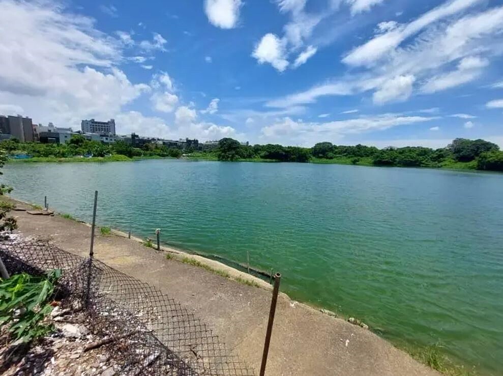 桃園市新屋頭洲里上用地,於1990年被畫定為都市計畫預定地,並規畫興建公一公園,不過數十年過去,該地仍是一片荒蕪,近期市府獲計畫道路用地地主無償同意,將闢景觀步道。圖/陳睿生提供