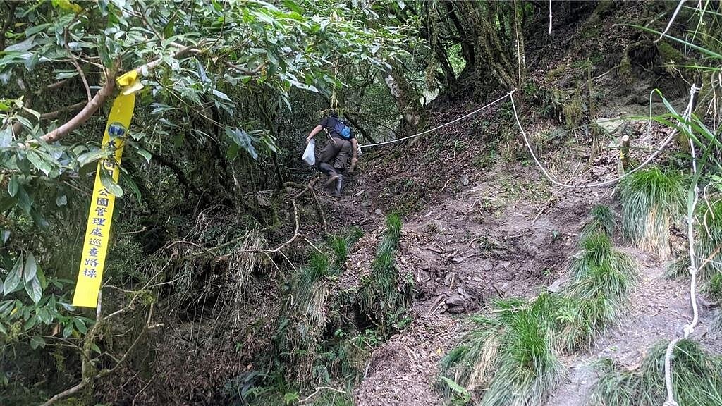 太管處在屏風山登山口下塔次基里溪前腰繞處,綁設黃色巡查路標,供山友辨明方向使用,請山友不要離開新闢路徑,以維自身安全。圖/太魯閣國家公園提供