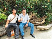 紐約客愛台南　漂流木蕭壟造景