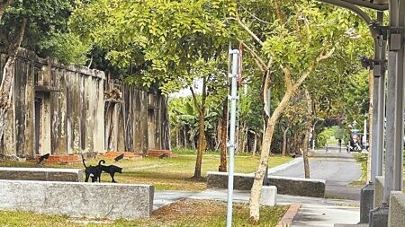 
台南市鹽水區早期糖鐵的鹽水車站最近流浪狗增加，讓地方很頭痛。（張毓翎攝）
