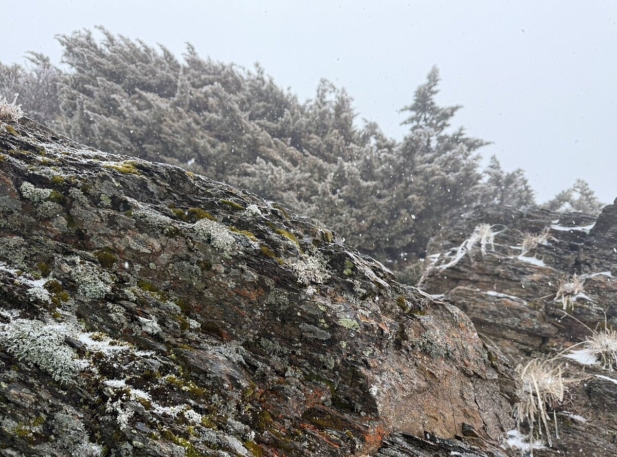 玉山再度降瑞雪，下午1時5分下雪，持續到下午1時40分。圖／中央氣象署提供
