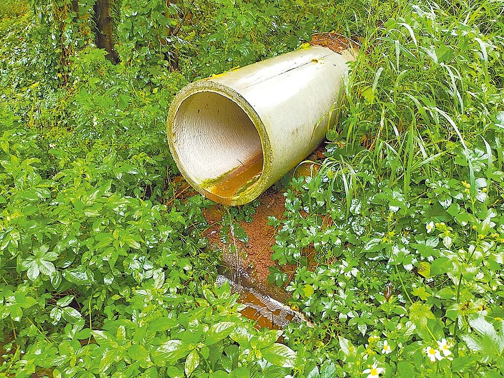 牧場業者未依規申請排放許可證或簡易排放許可,竟讓事業廢汙水排放到後方土地,再沿邊坡流至馬路。圖/新竹縣環保局提供