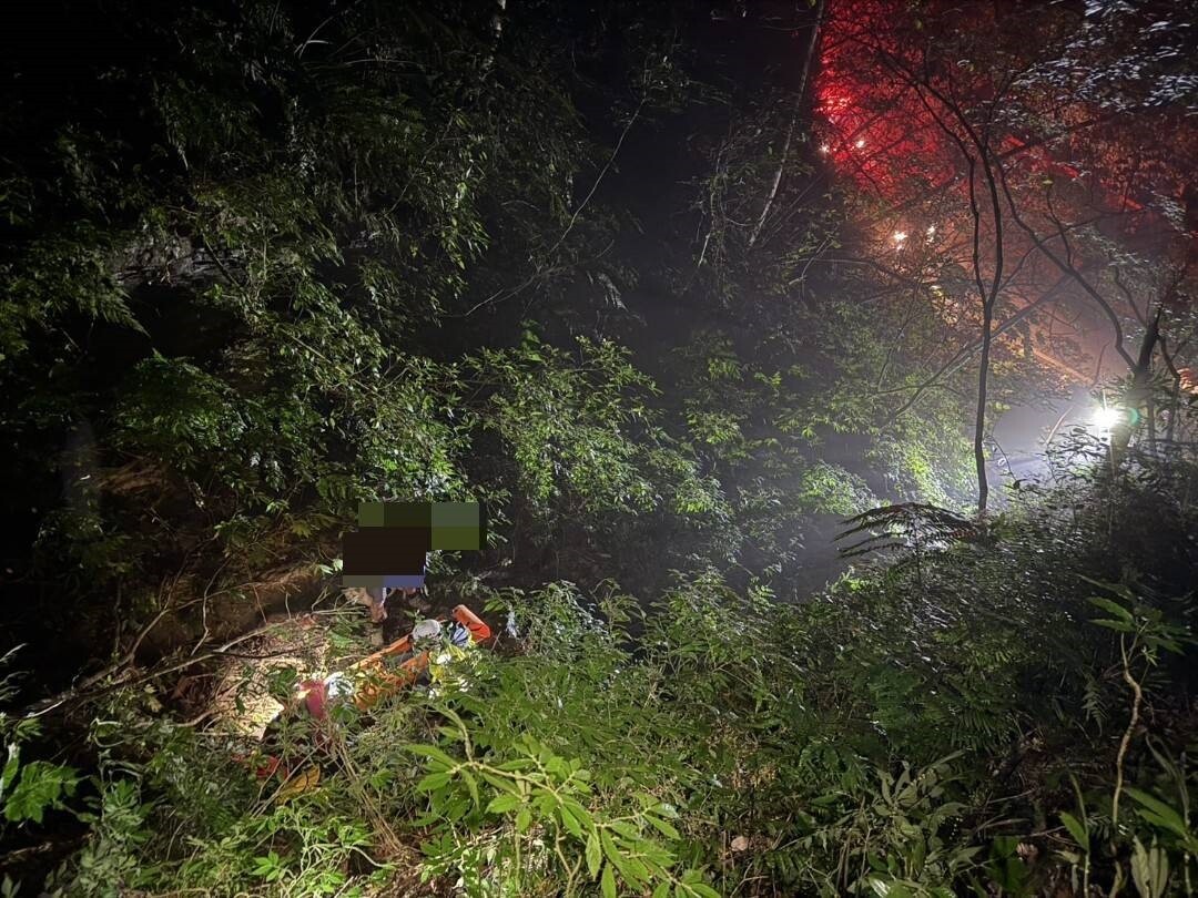 桃園市復興區東眼山附近約10米高的山坡密林傳出有1對情侶及2隻狗受困。圖：讀者提供