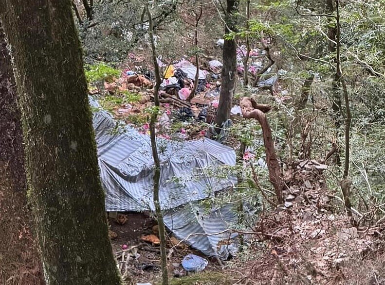 近期有山友發現奧萬大馬海濮富士山上神木被盜伐,且發現疑似山老鼠及工寮,因此上網通報。圖/山友提供
