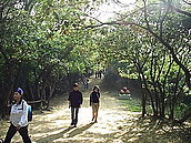 拍板！五酒桶山將建20公頃公園