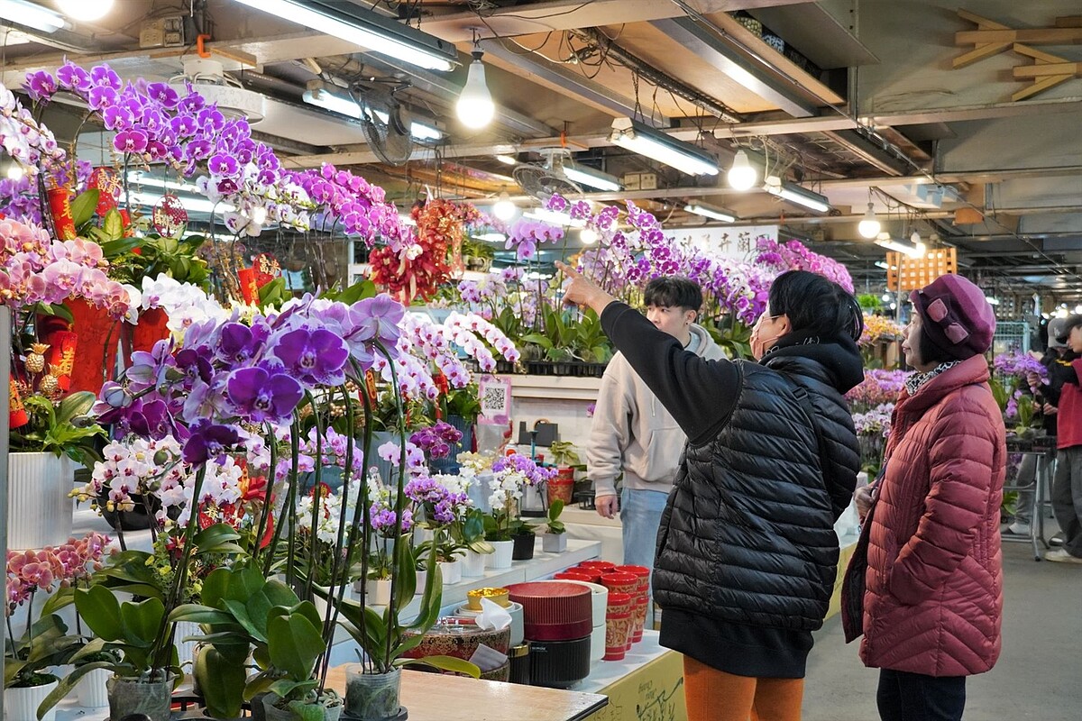 民眾可於板橋花市挑選各式年節花卉。圖／農業局提供