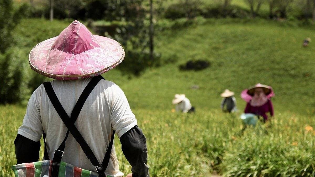 (封面示意圖/Pixabay)