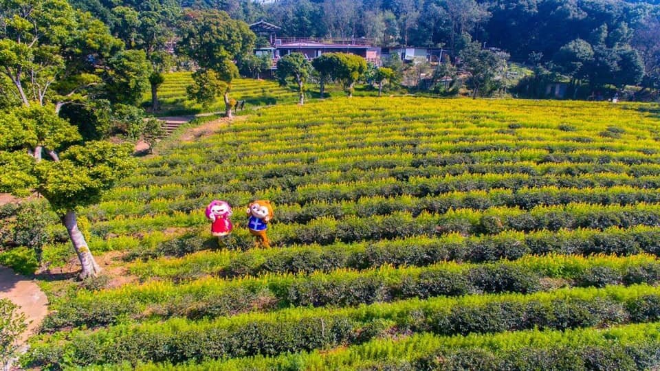 為迎接2025農曆春節連假,桃園市10個休閒農業區及各家休閒農場等農遊場域,超多春節農遊體驗活動,最適合年假期間近郊走春踏青。圖:農業局提供