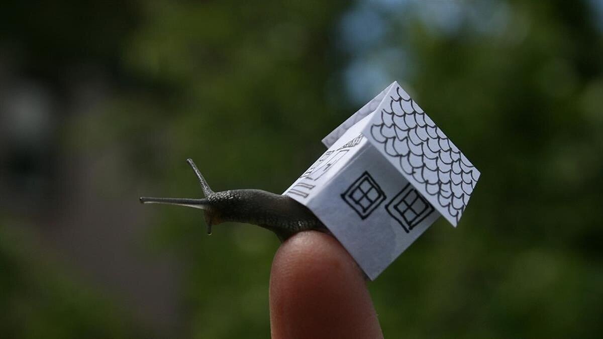 (封面示意圖/Unsplash)