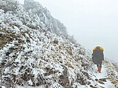 玉山零下3.1度　合歡山爬冰山