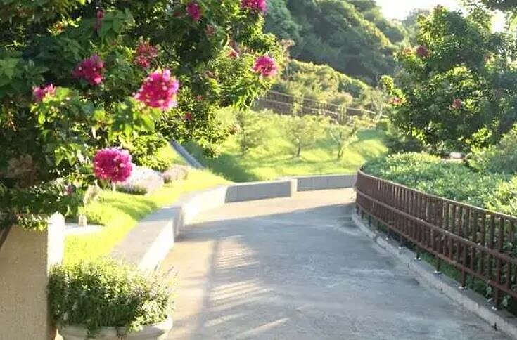 北市陽明山臻善園花葬區。圖/取自環保葬臉書