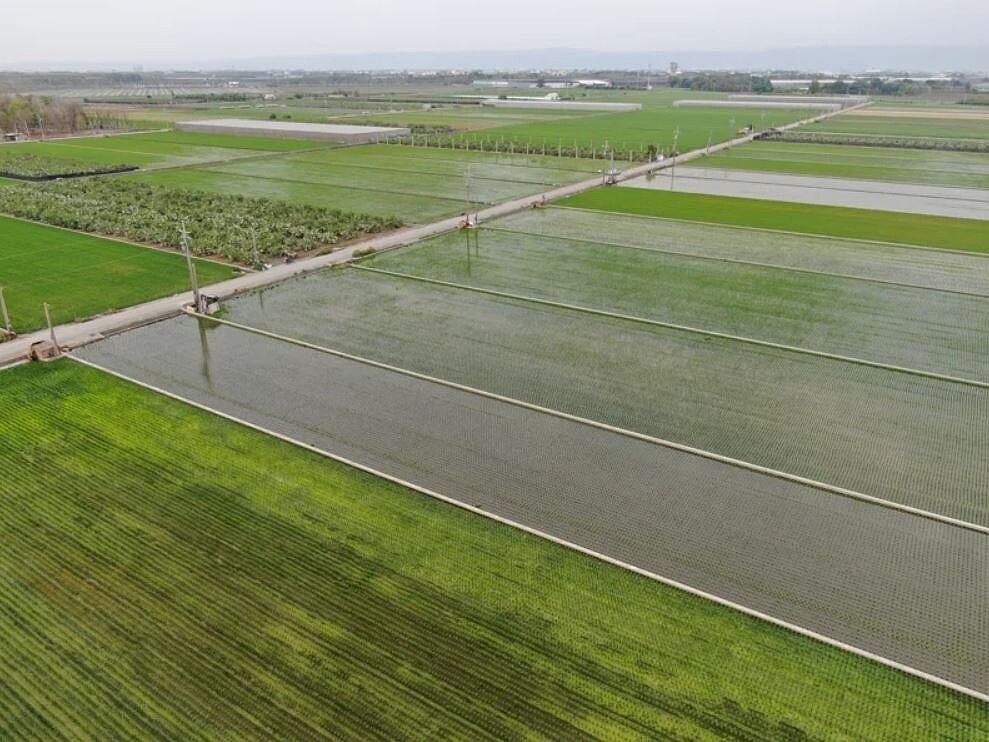 彰化縣今年度第1次農地重劃區抵費地標售將於3月12日開標,此次標售土地分布於芳苑鄉、埔鹽鄉等10個鄉鎮共21筆農地重劃區抵費地。圖/彰化縣政府提供