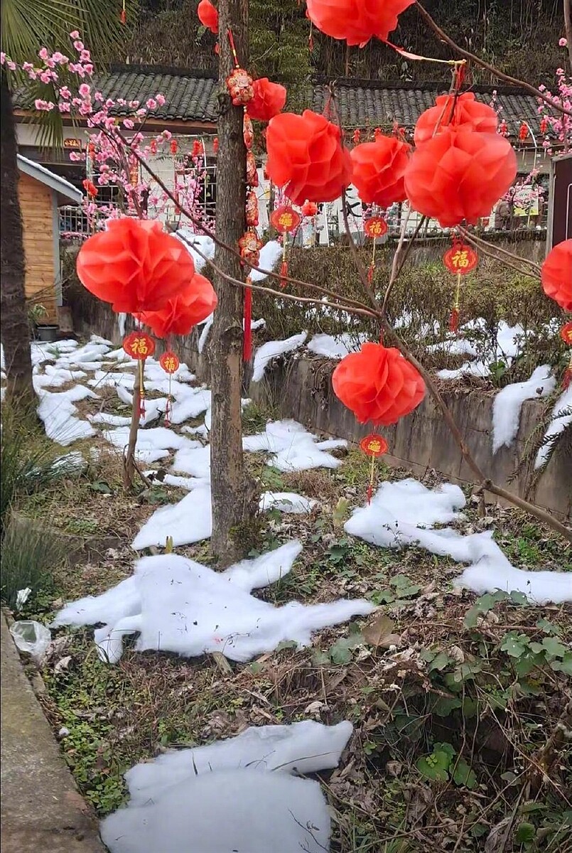 大陸四川「成都雪村」近日被揭露用棉花代替雪花,營造雪景,招致許多遊客吐槽。圖/取自《現代快報》微博