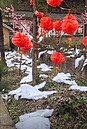 再傳景點造假！大陸成都「雪村」鋪棉花營造雪景　遊客傻眼