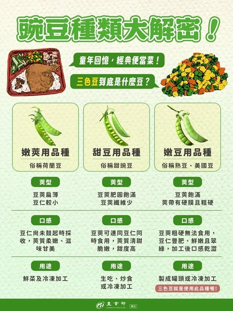 嫩莢用、甜豆用及嫩豆用的豌豆品種差異。圖/取自「農業部」臉書粉專