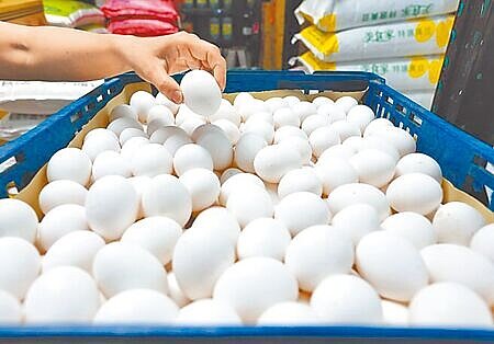 根據資料顯示,13日國內雞蛋產地價為每台斤22.5元,批發價每台斤32元,此價格自年後便少有變動,導致不少蛋農不滿兩者價格落差大。(本報資料照片)