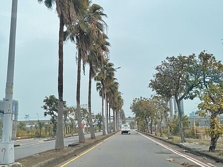 台南市從去年底迄已核定10條新道路以姊妹市、友誼市命名,歸仁高鐵特定區未來將有「西柯紋納街」、「土浦街」等新路名。(曹婷婷攝)