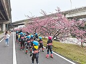 賞櫻免上山　竹市區藏3祕境