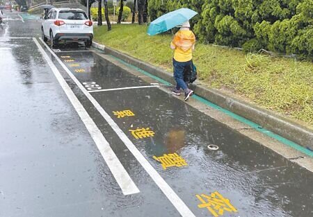 桃園市有近2萬路邊收費停車格,為降低人力成本、提升效率,2025年將全面建置「地磁輔助設備」。(蔡依珍攝)