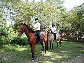 彰化騎警隊正式成軍　感受「走馬看花」新觸感